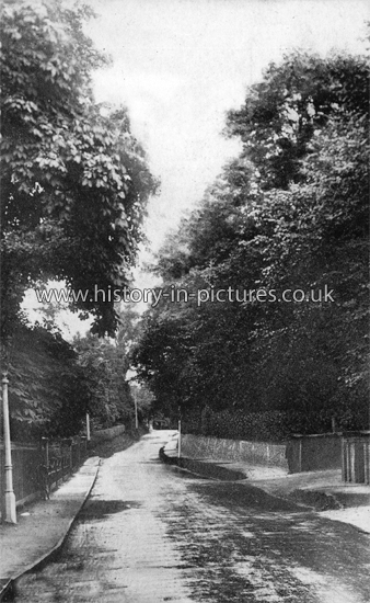 Stortford Road, Stansted, Essex. c.1914